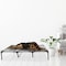 Pet Adobe Elevated Portable Pet Bed Cot-Style 48 inx35.5 inx9 in for Dogs and Small Pets, Indoor/Outdoor (Gray) 532169MPL - alternate 4